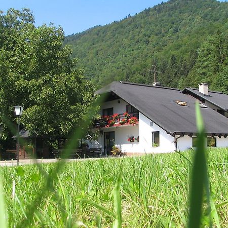 Guest House Atelšek Recica ob Savinji Exteriér fotografie