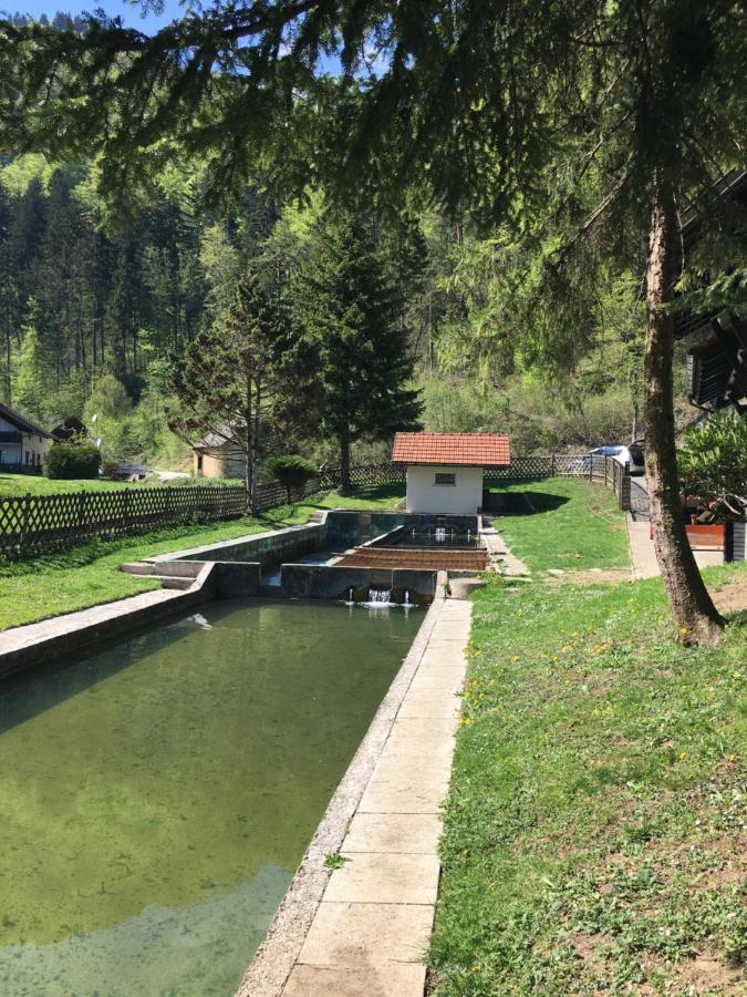 Guest House Atelšek Recica ob Savinji Exteriér fotografie