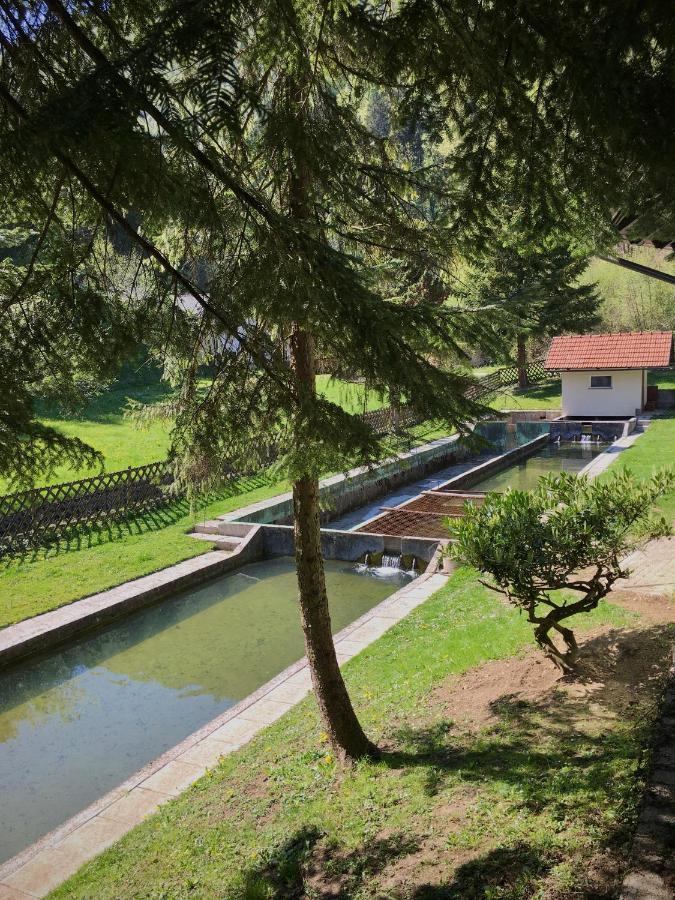 Guest House Atelšek Recica ob Savinji Exteriér fotografie